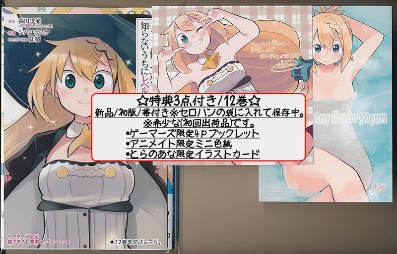 スライム倒して300年、知らないうちにレベルMAXになってました1