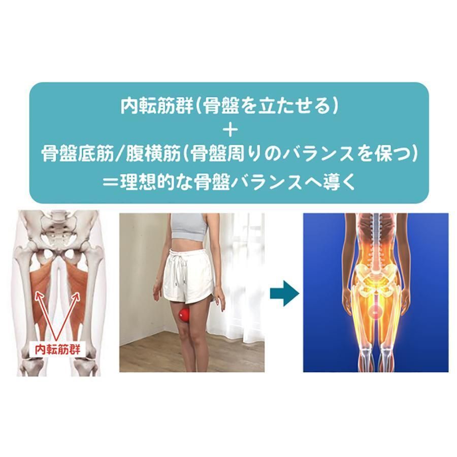 骨盤 腹筋トレ