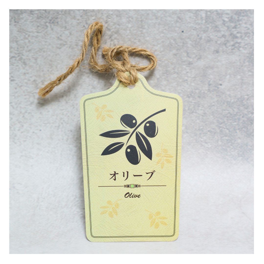 オリーブ アルベキーナ 現品販売 C 7号 品種 アルベキナ 常緑樹 YUZUMIYA_COM