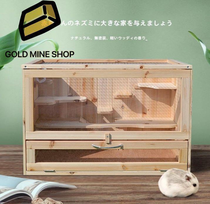 フェレット リス