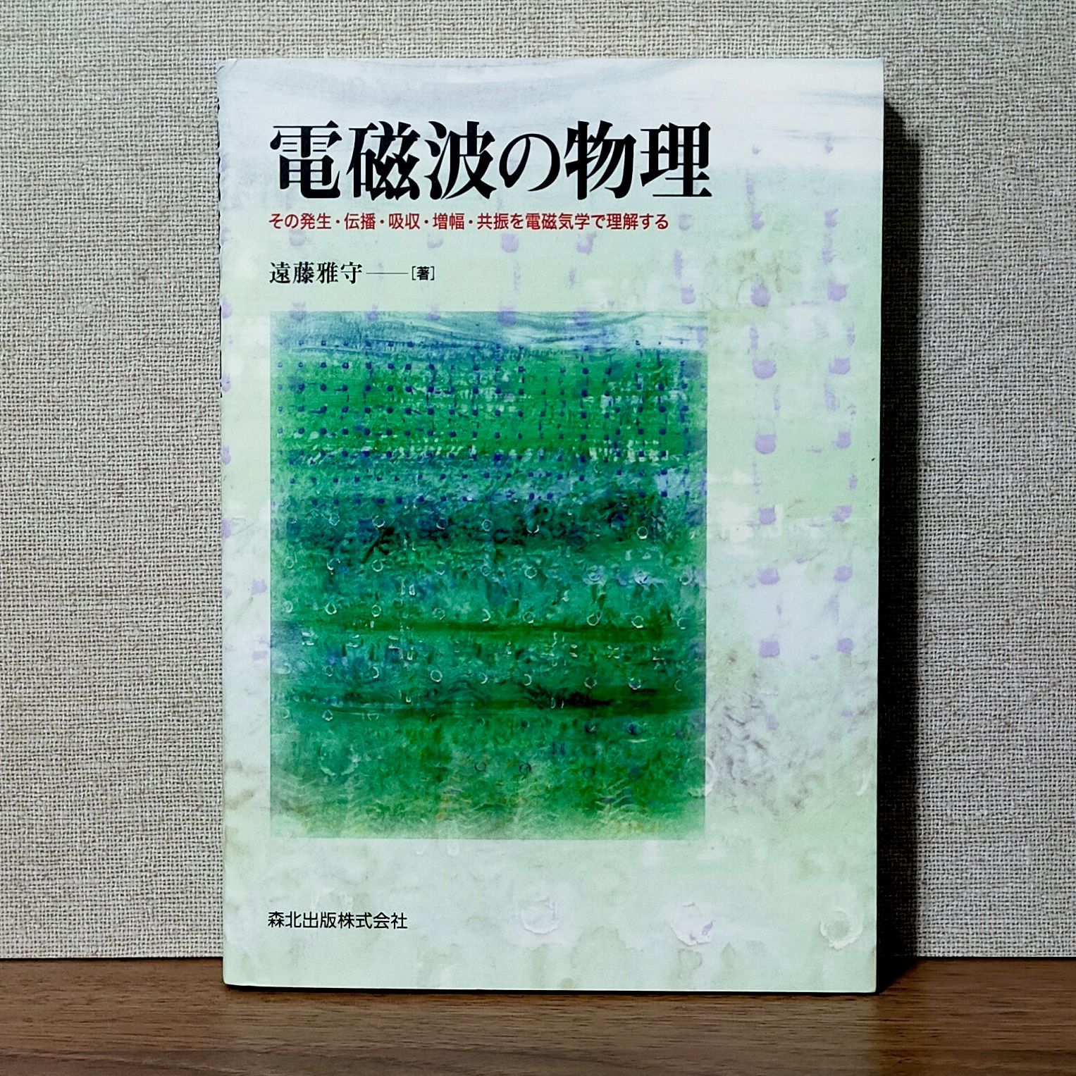 電磁波の物理 : その発生・伝播・吸収・増幅・共振を電磁気学で理解