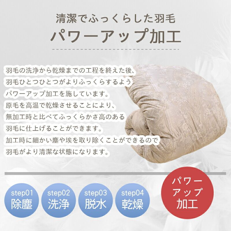 クイーンロング 抗菌