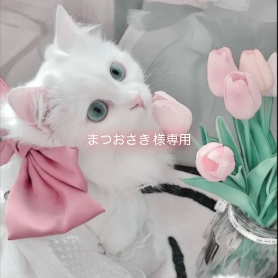 まつおさき様専用ᕱ⑅ᕱ - メルカリ