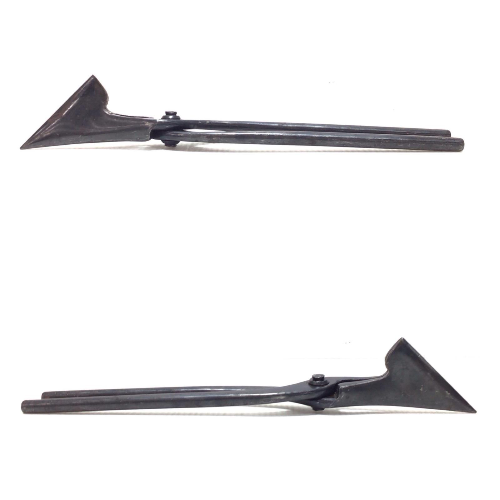 ΘΘ種光 つかみ