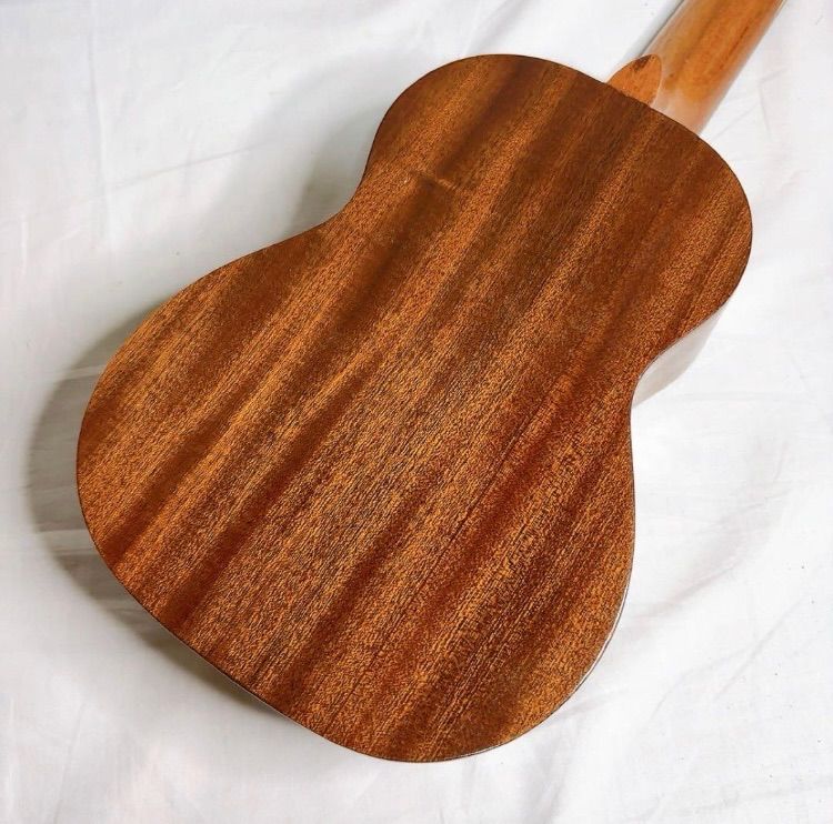 がくぶん 高木ブーの楽しいウクレレ