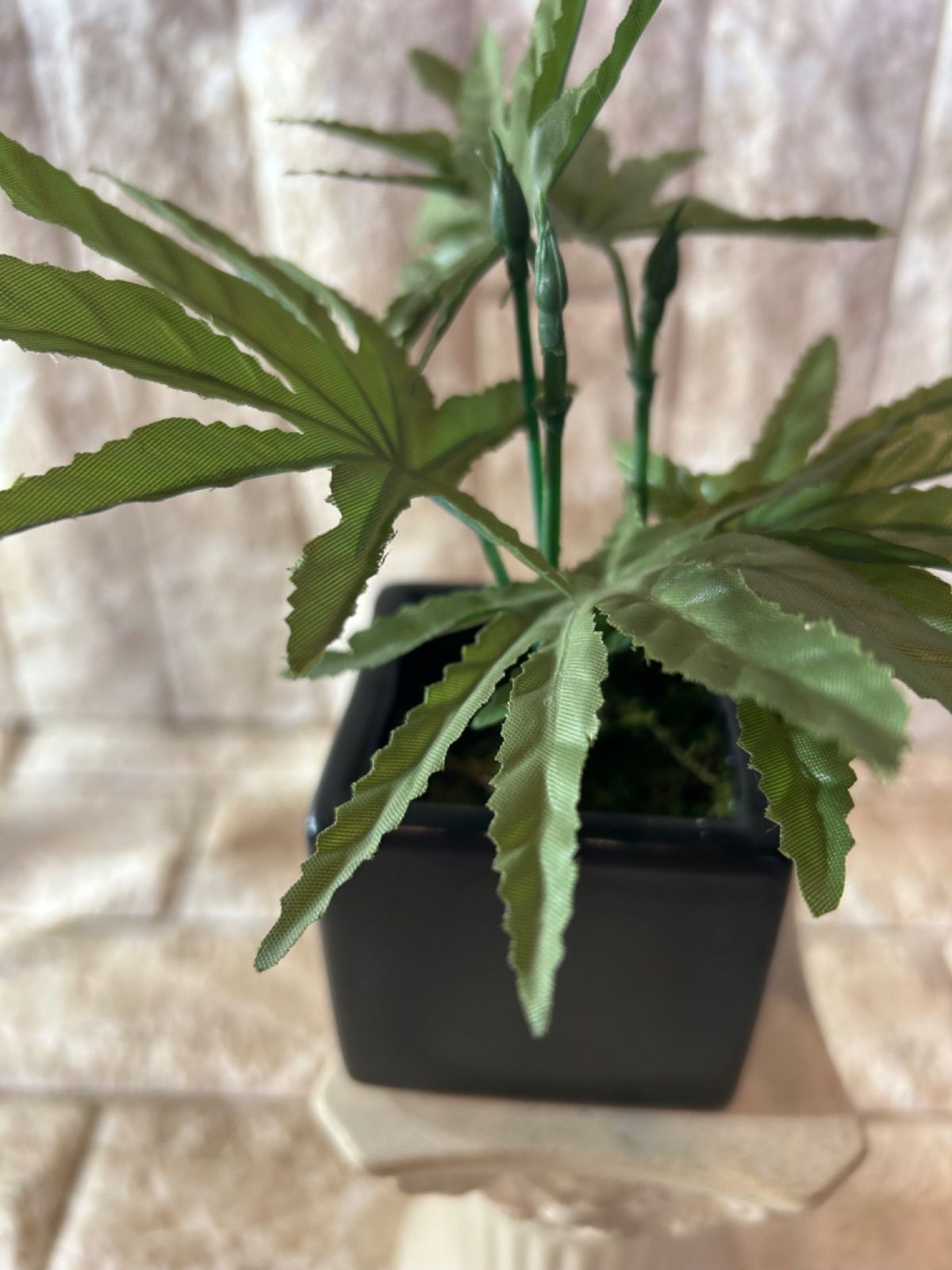 光触媒 人工観葉植物 マリファナ 草 大麻 CBD 123 - メルカリ