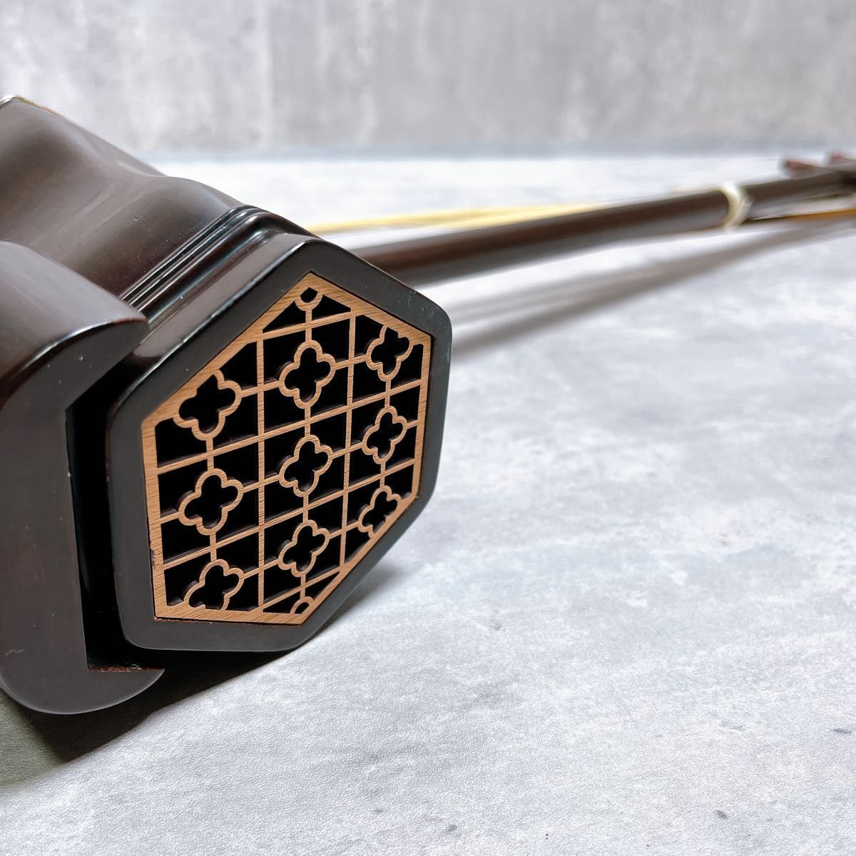 二胡 彩雲 蛇皮 ER-400 琴弦 セミハードケース付 弦楽器 工場 二胡