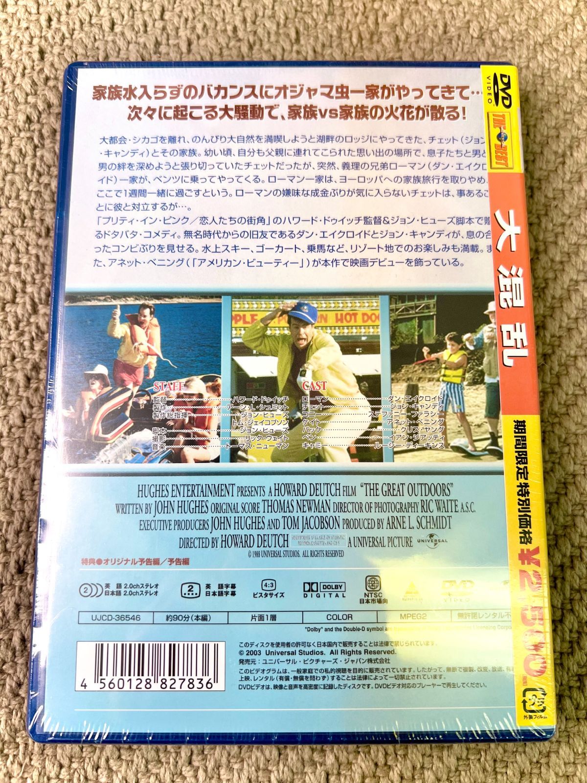 DVD/大混乱