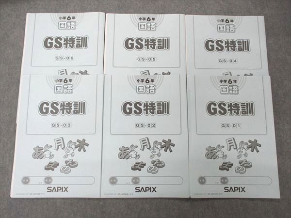 US04-024 SAPIX 小6年 サピックス 国語 GS特訓 GS-01~06 テスト6回分