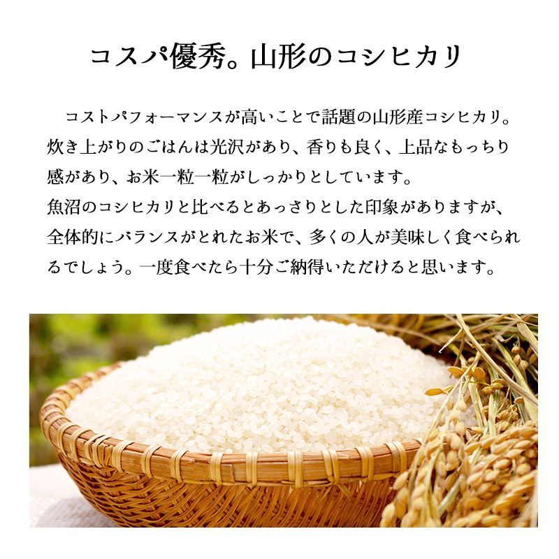 米 山形産コシヒカリ10kg  お米 令和6年産 白米 送料無料（沖縄のぞく）