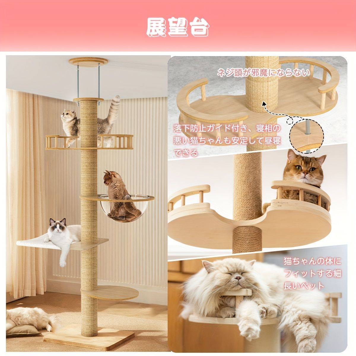 発送4