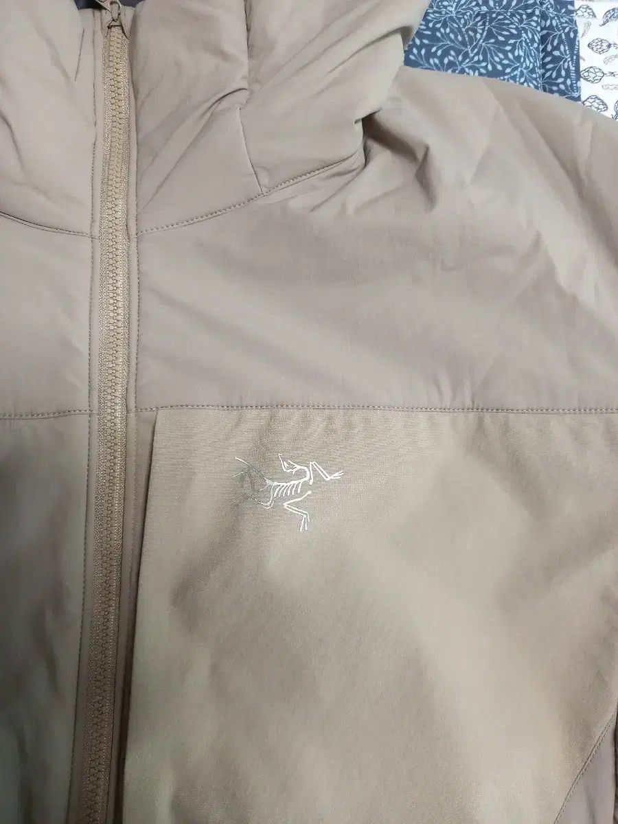 ARC TERYX プロトン フーディ ジャケット アイボリー L 実物画像あり 実使用105