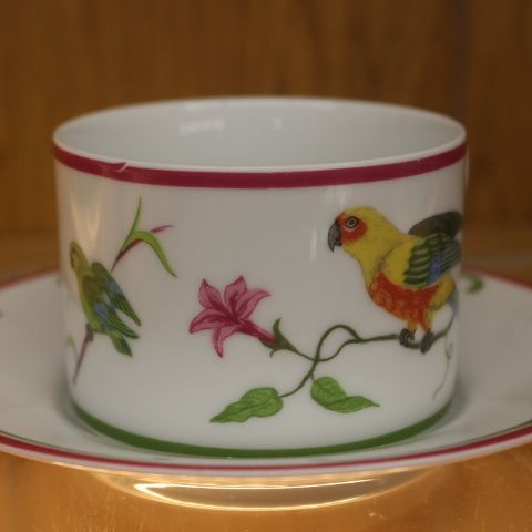 リンチェイス　パロッツ オブ パラダイス　C&Sとパン皿 2025年最新】リンチェイス 皿の人気アイテム - メルカリ