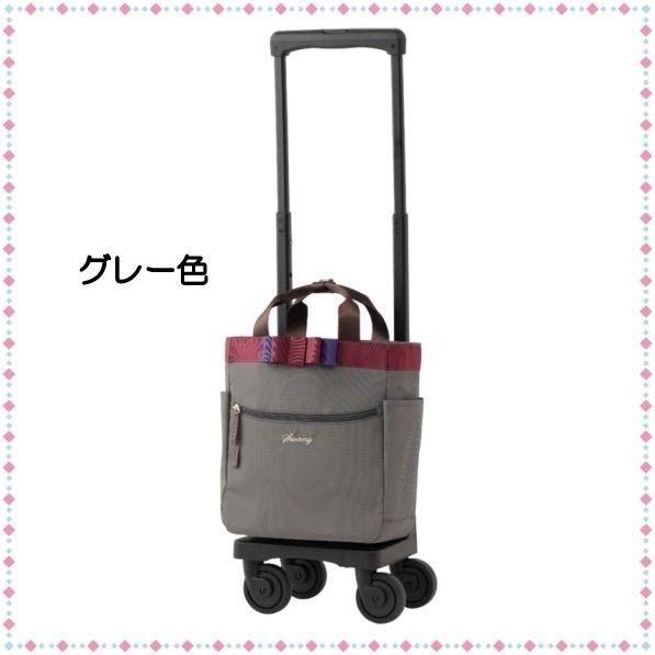 SWANY スワニー キャリーバッグ 新型 D-675 ルバンド TS18サイズ