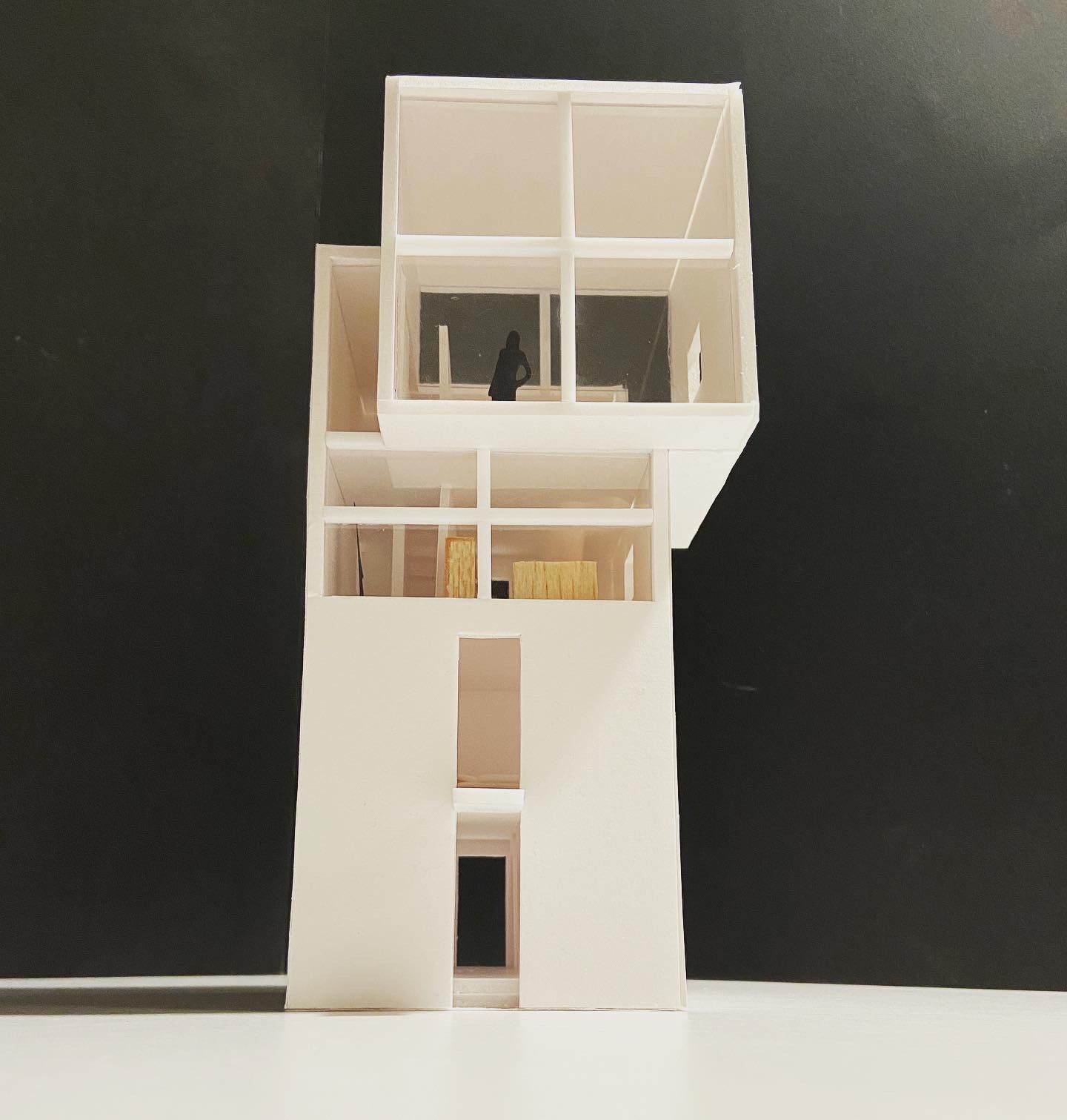 In Detail: Single Family Houses 安藤忠雄 In Detail: Single Family Houses 安藤忠雄 Single Family House