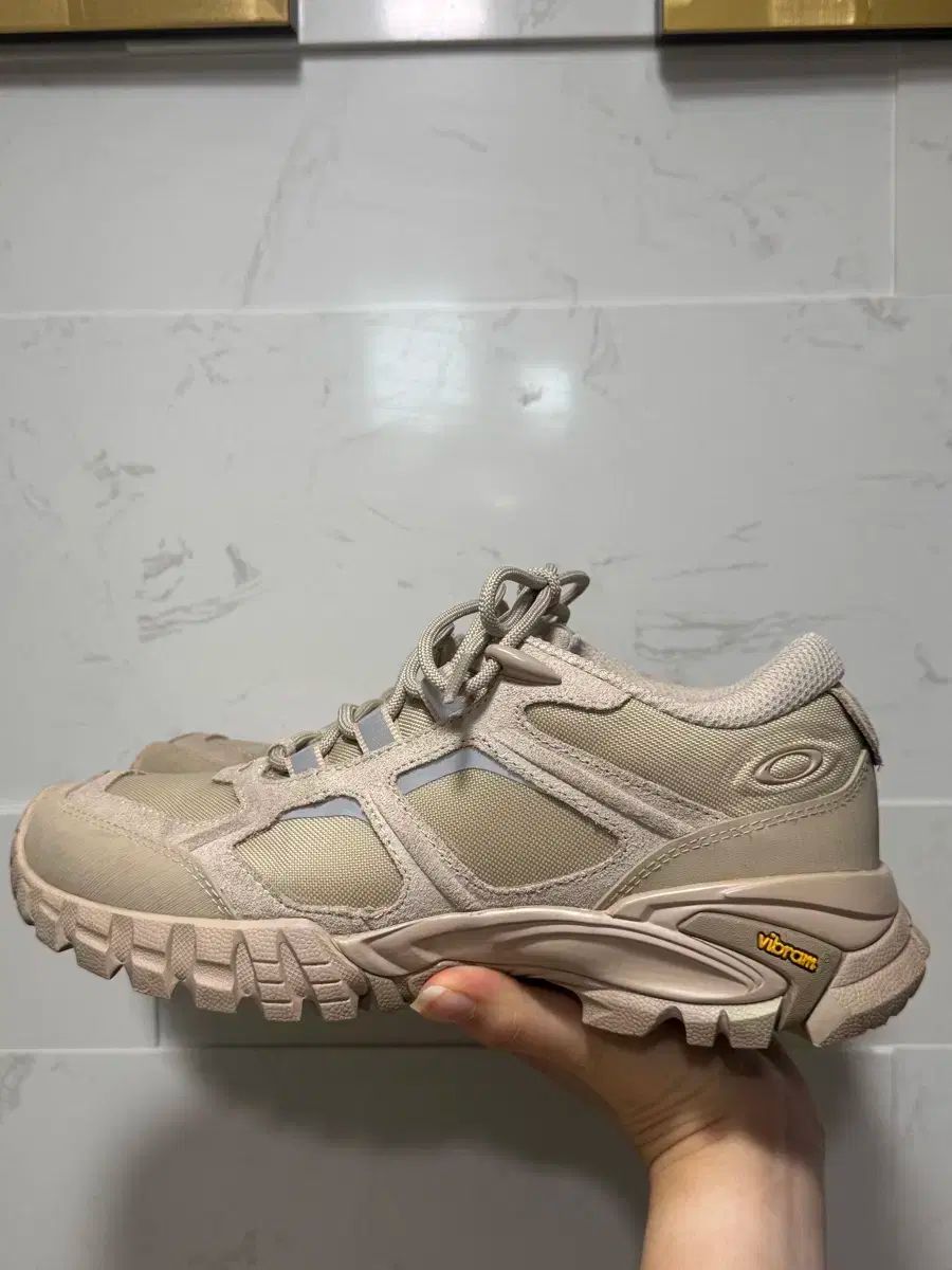 OAKLEY オークリー 山 テレイン 腐植 240