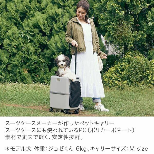 お出かけ 旅行