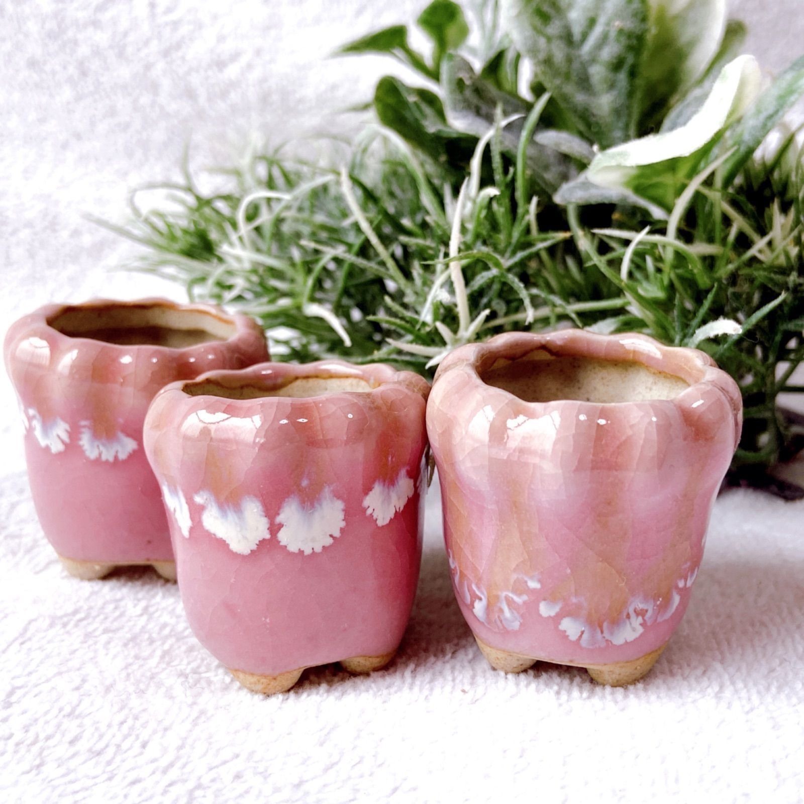 ミニチュアサイズの陶器製植木鉢 3点セット】 豆盆栽や苔盆栽などに 