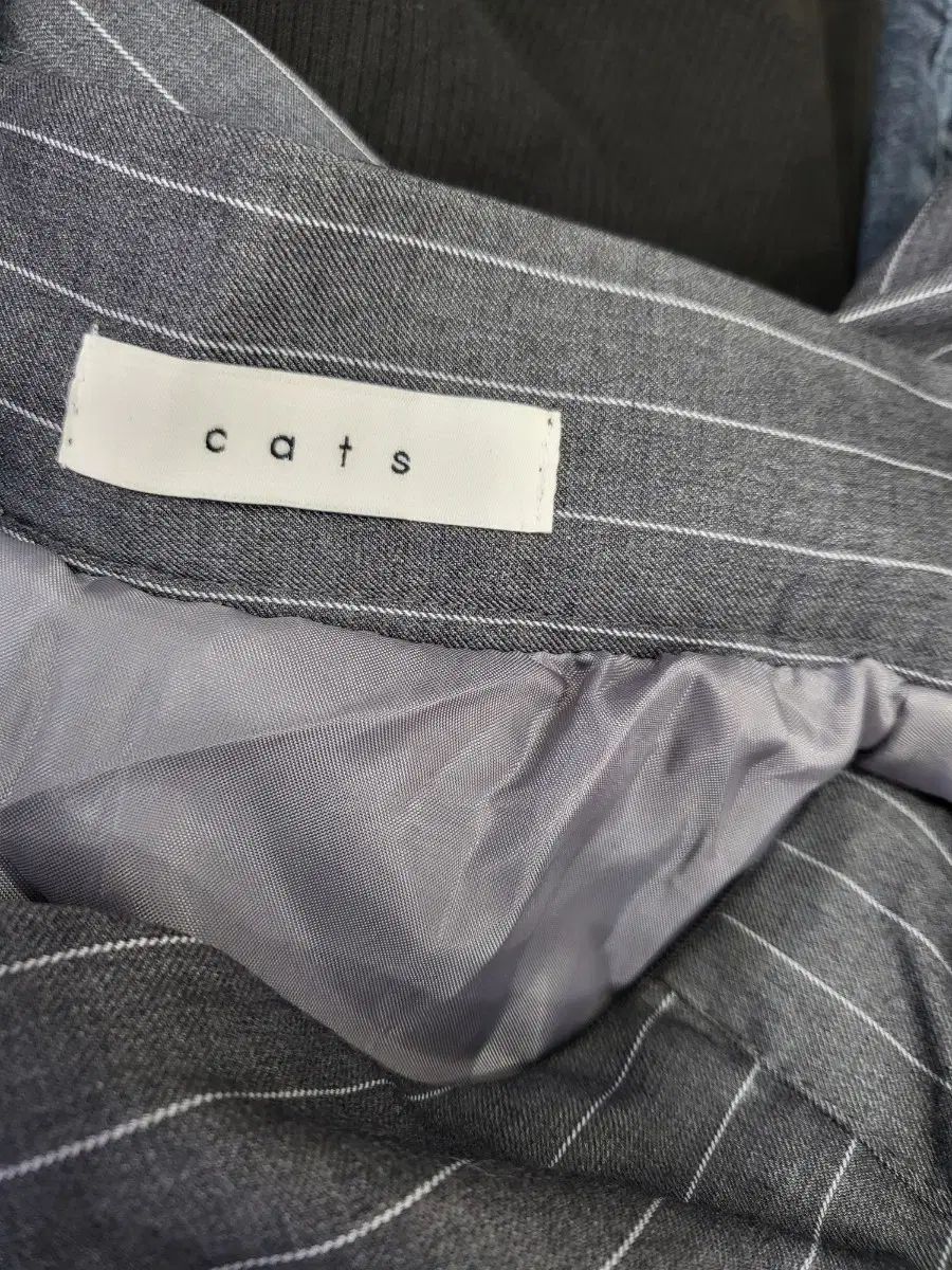 Catsストライプレースポイントスカートセットアップ