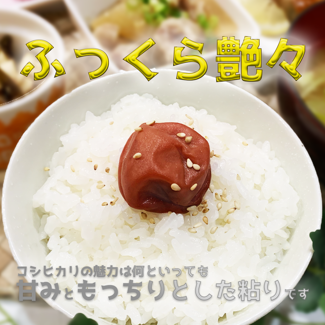 佐渡産コシヒカリ ー特別栽培米ー 10kg