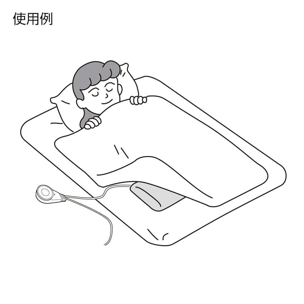 電気あんか