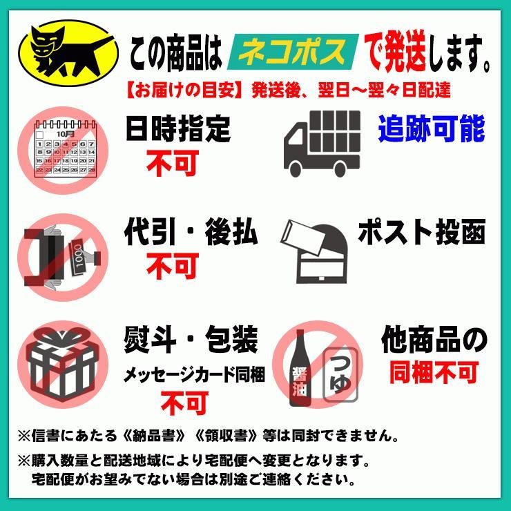 20時間熟成 半生 並麺 讃岐うどん つゆ付きセット 便利な個包装 750g 送料無料　A36