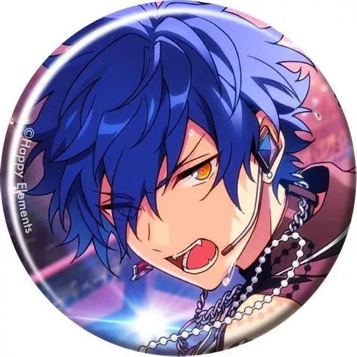あんスタ 漣ジュン アルバム 缶バッジ 11点セット