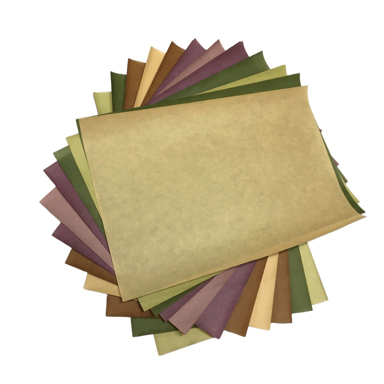 関戸本古今集 清書用 50枚入 古筆臨書用紙 書道 かな書道 書道 かな 臨書