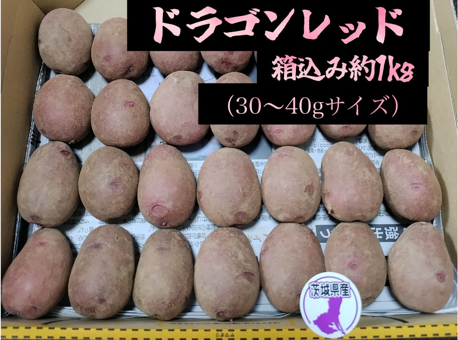 ドラゴンレッド(西海31号)【ジャガイモ】じゃがいも 新品 約1kg