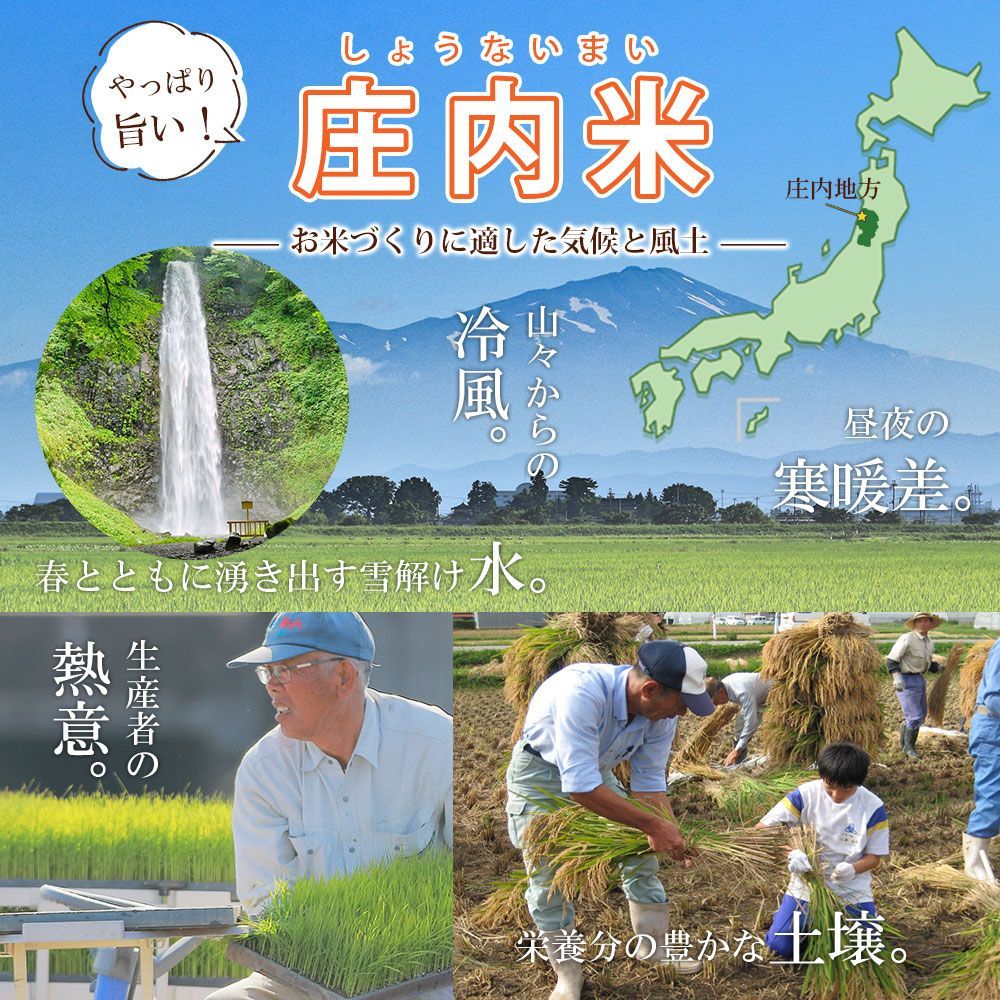 はえぬき 20kg
