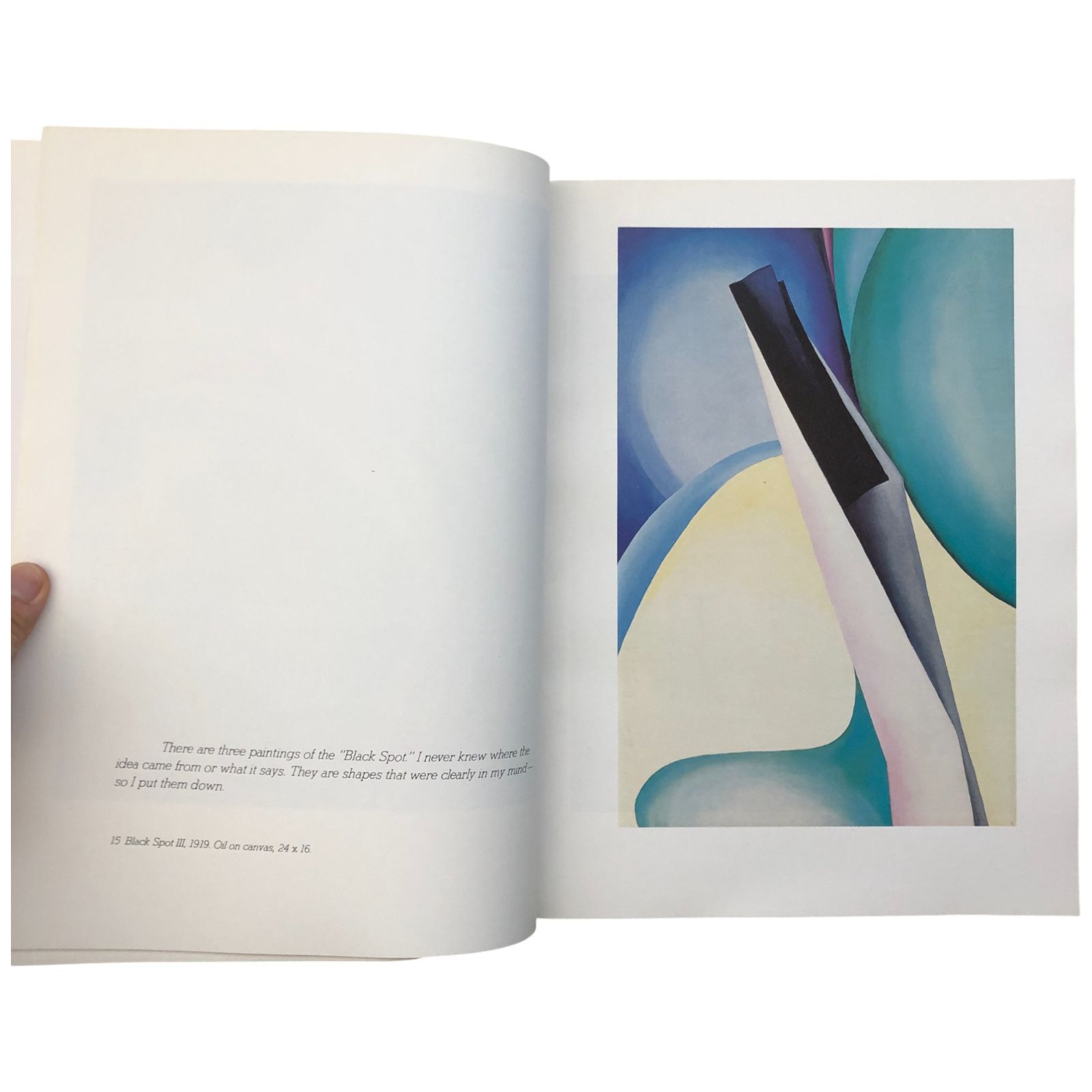 ジョージア・オキーフ、春、高級画版集の一部、新品額付 Georgia O'Keeffe: One Hundred Flowers ジョージア・オキーフの