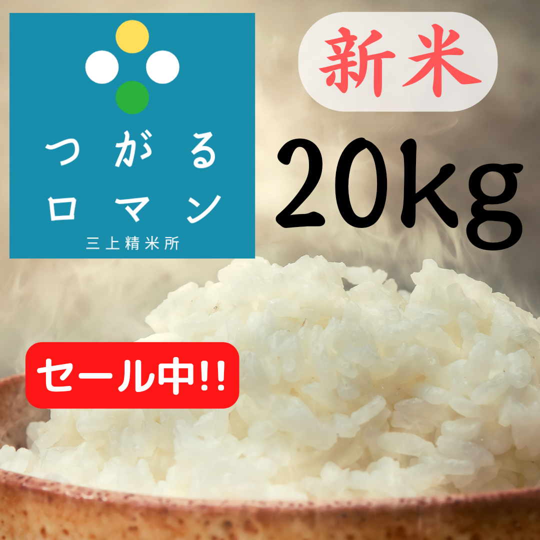 青森県産つがるロマン玄米20kg　精米無料　令和4年