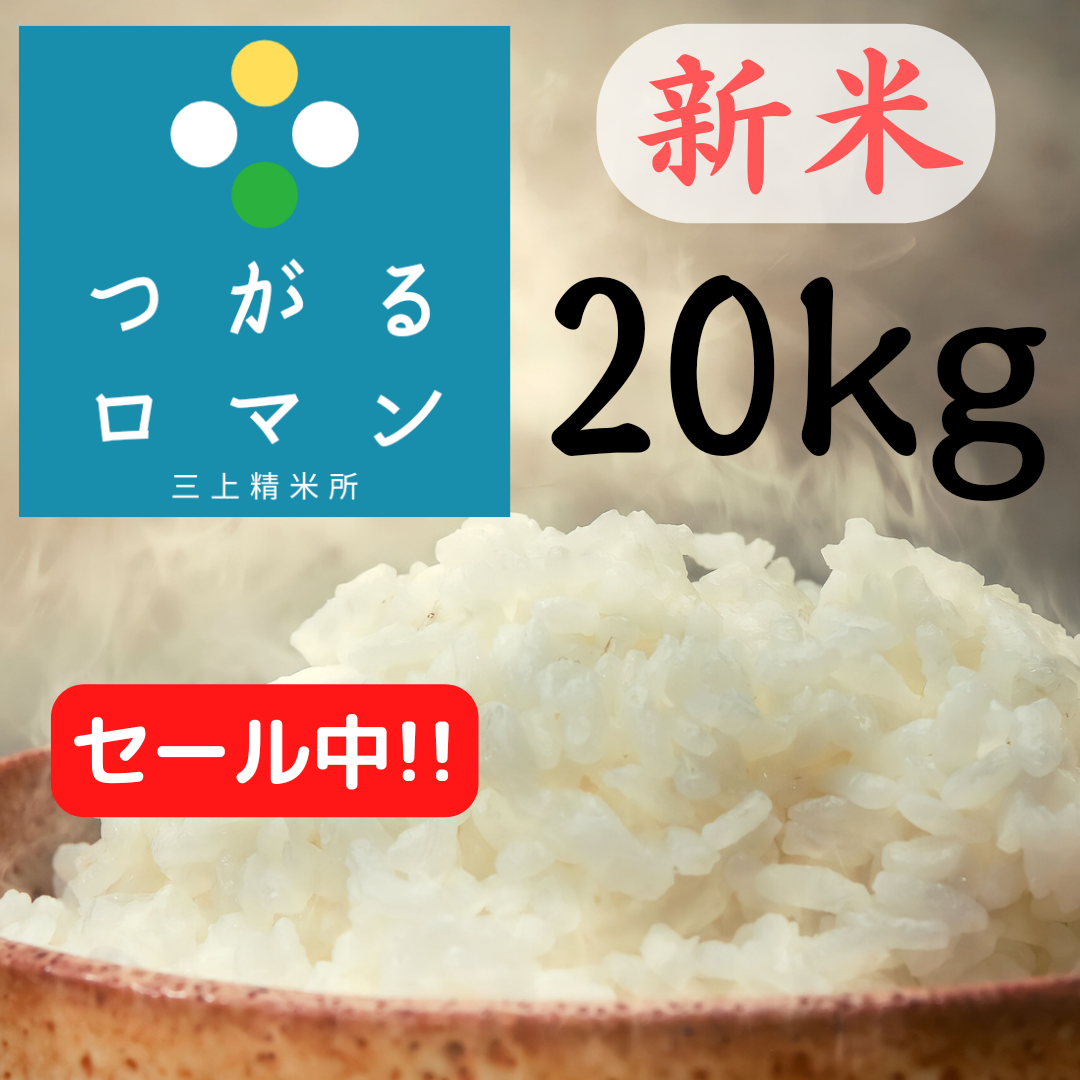 再再販！ 令和四年 青森県産つがるロマン 玄米20kg