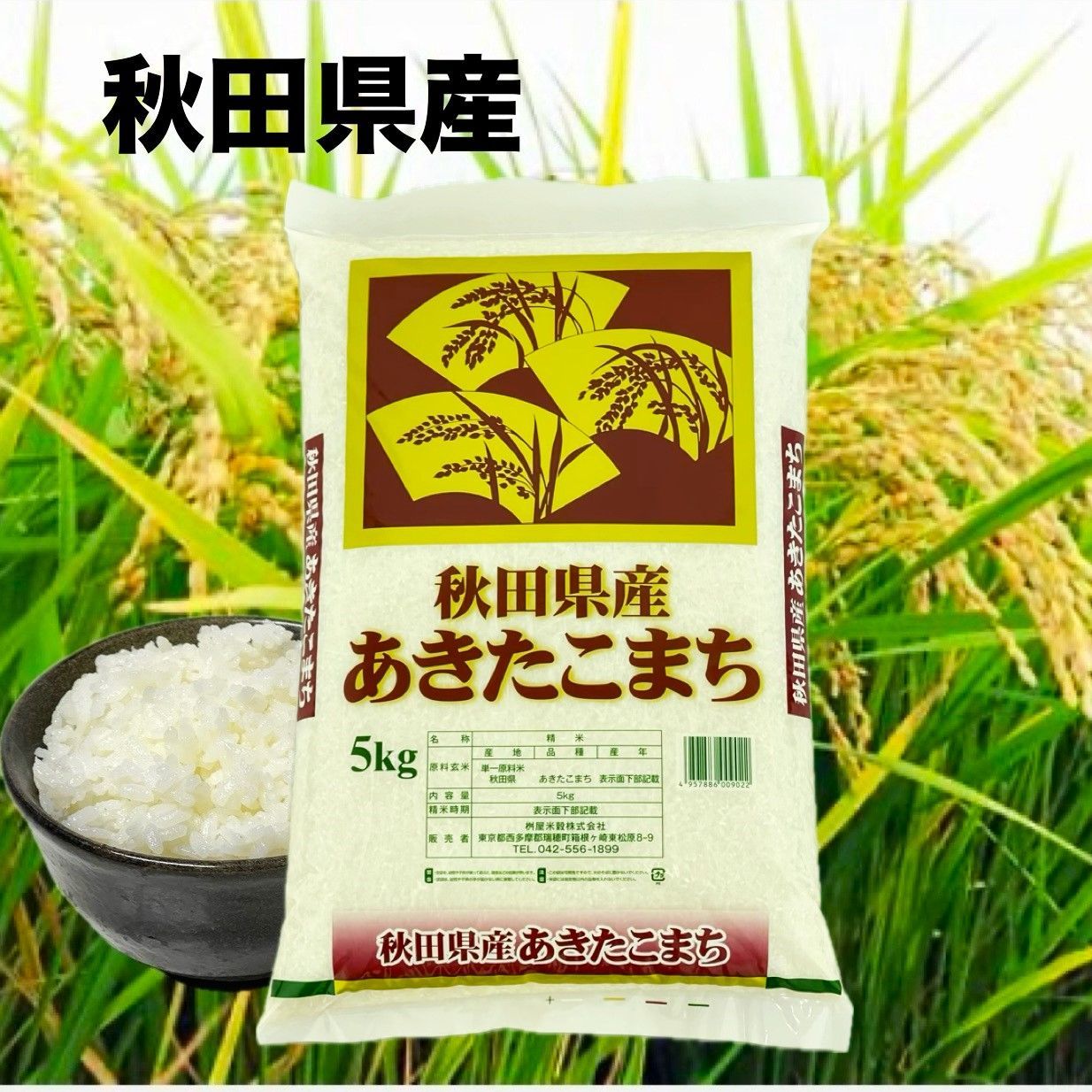 令和6年産 秋田県産 あきたこまち 玄米 5kg 2袋