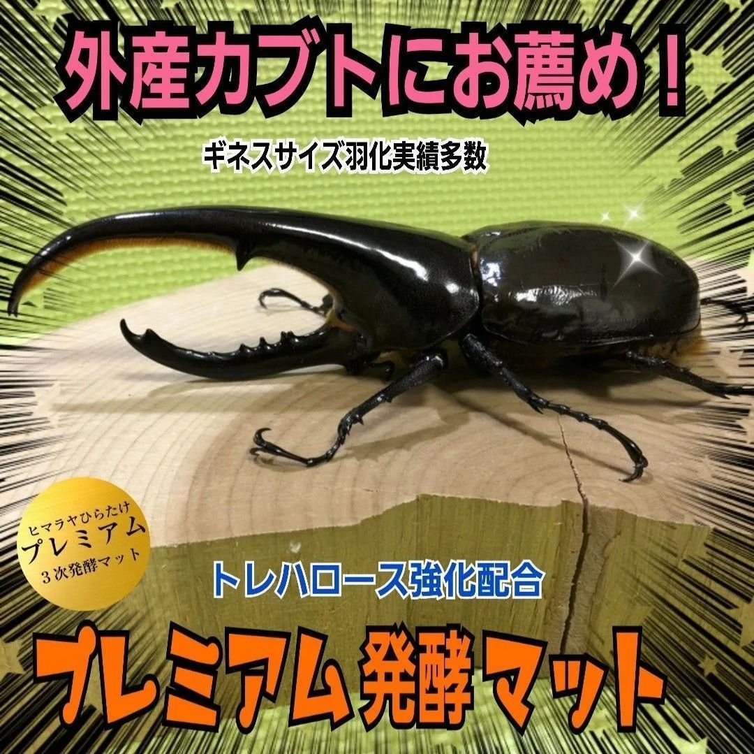 外国産カブトムシを大きくしたい方に！プレミアム3次発酵マット特殊
