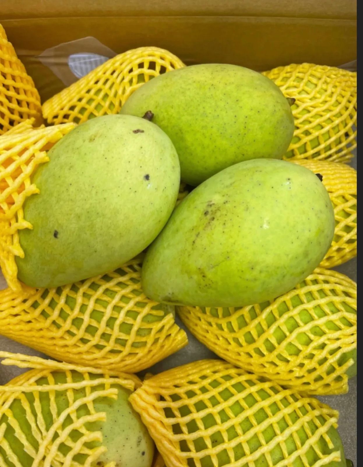 Vietnam  Cat Chu Green Mango (2kg)