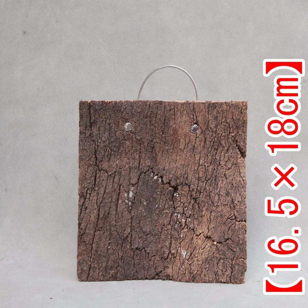 W008 ポルトガル産 コルク樹皮 キャノンコルク バージンコルク 送料