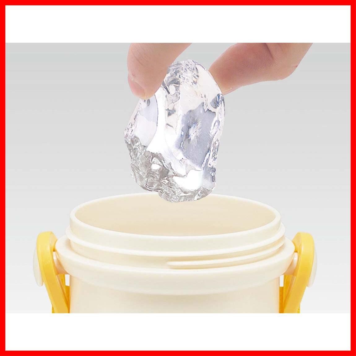 在庫処分】スケーター(Skater) 子供用 プラスチック 水筒 480ml