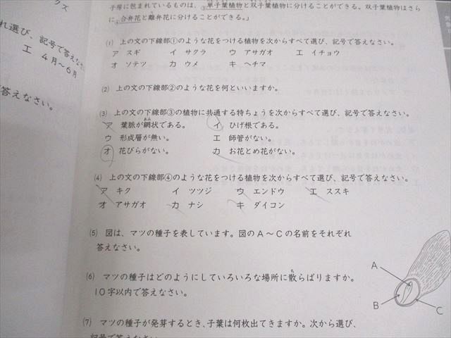 浜学園 小6 日曜志望校別特訓問題集 小6国語 国語 男子最難関 日曜