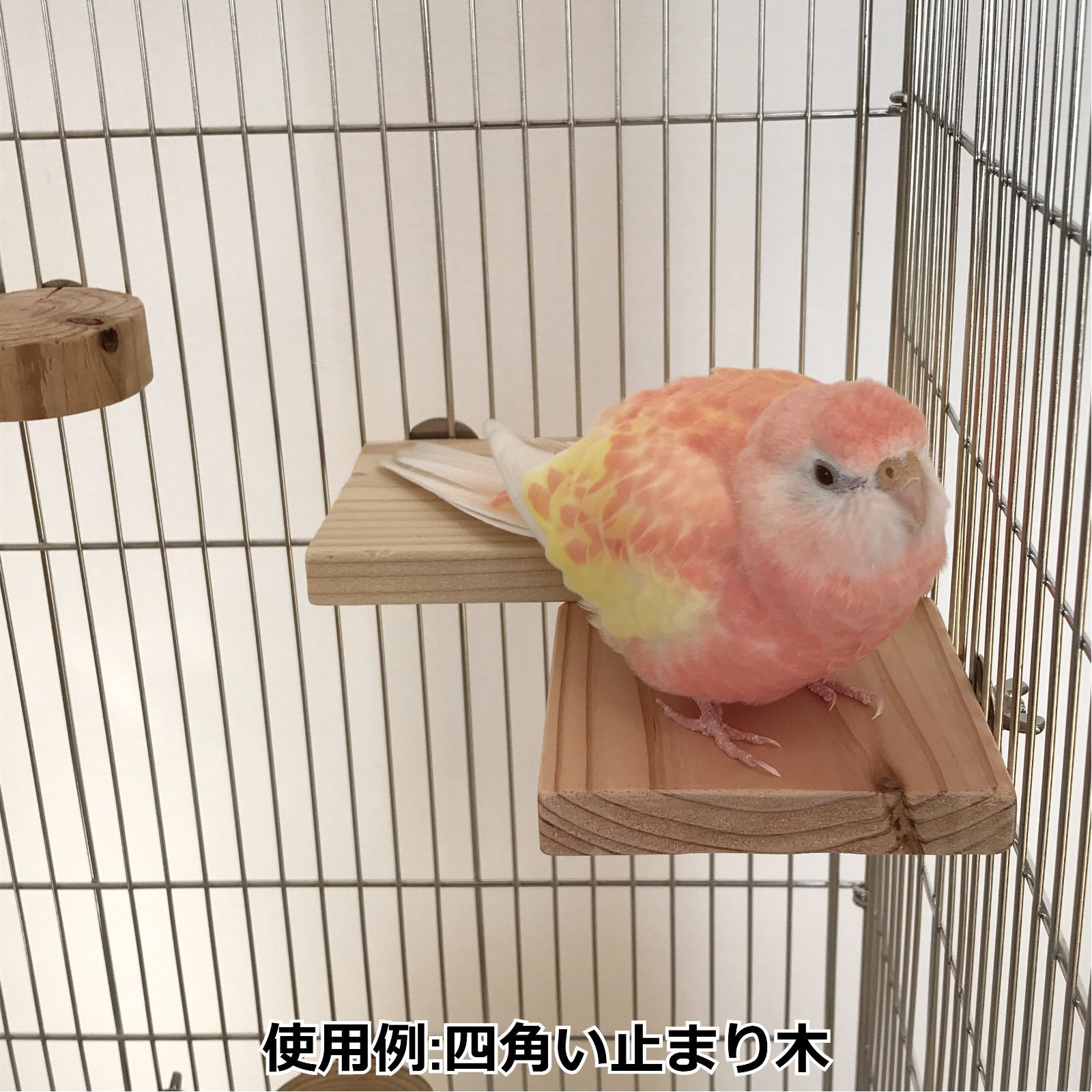 四角い止まり木 3枚セット インコ・小動物用ステップ - メルカリ