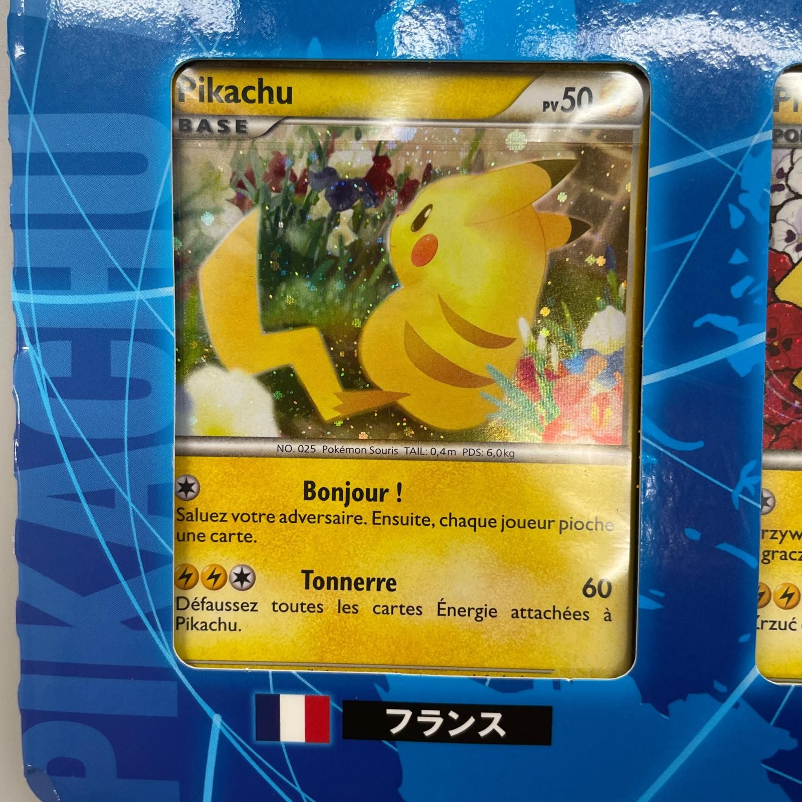 POKEMON ポケモン トレーディングカード 【LEGEND】ポケモンカード