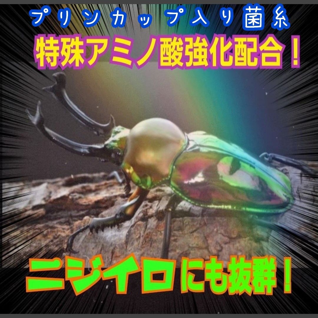 特選！ヒマラヤひらたけ菌糸プリンカップ120ml 【20個セット】初