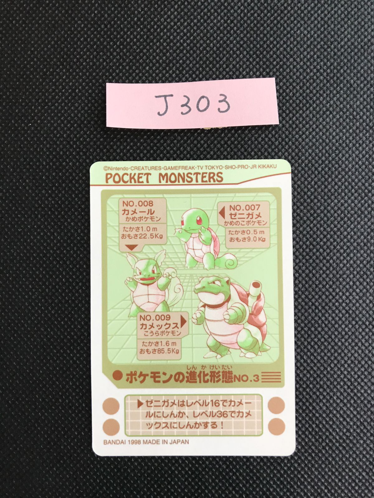 ゼニガメ カメール カメックス シールダス キラ [J-303] - メルカリ