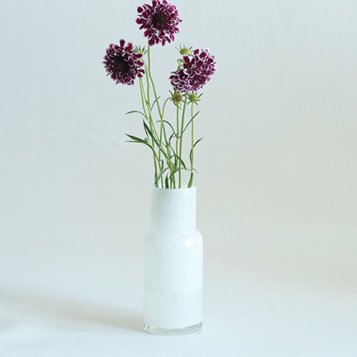 花瓶 DGボトルベース 直径7.5×高さ18cm ホワイト ガラス