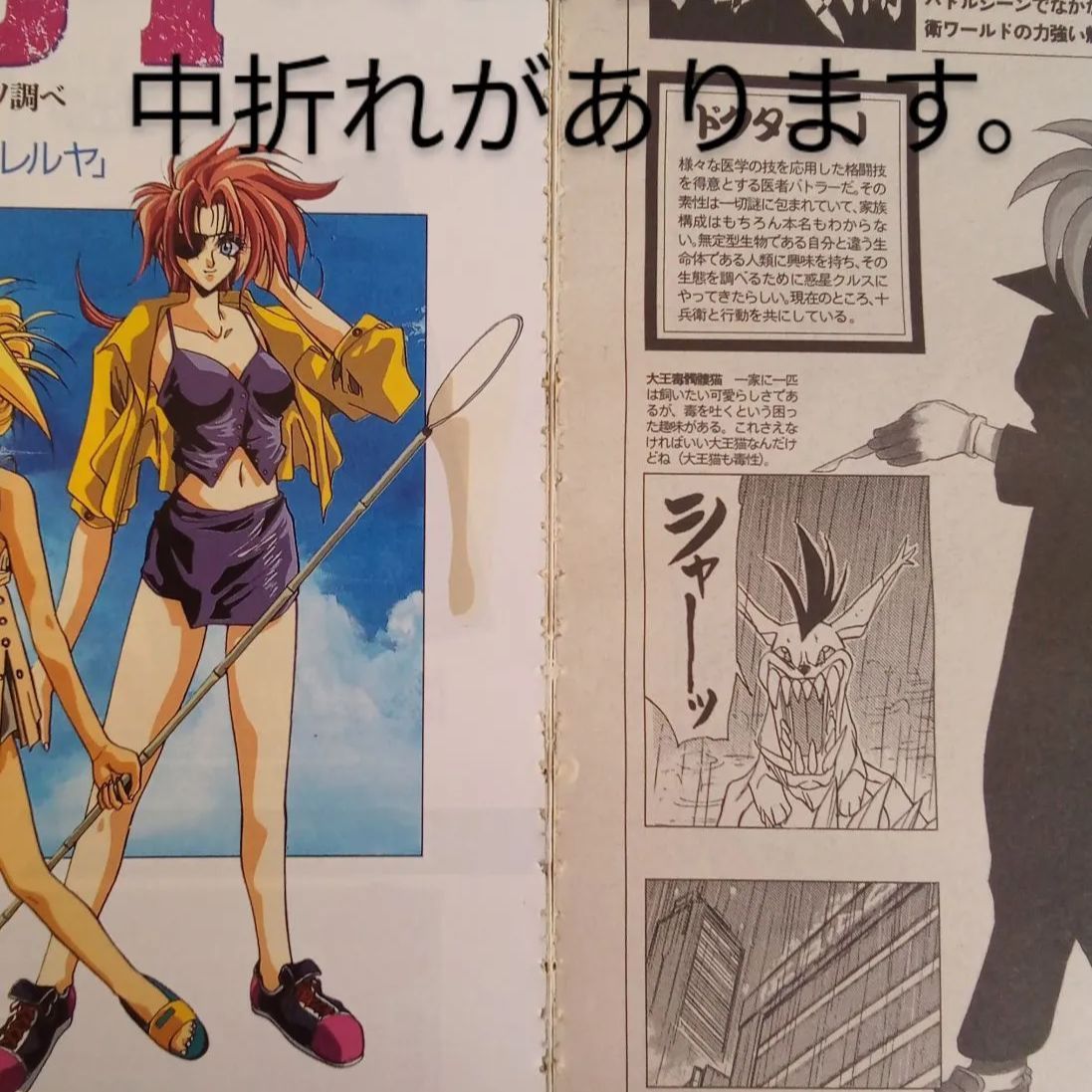 日本の漫画雑誌コレクション comic newtype コミックニュータイプ1995年 冬、夏、秋三冊セット 士貴