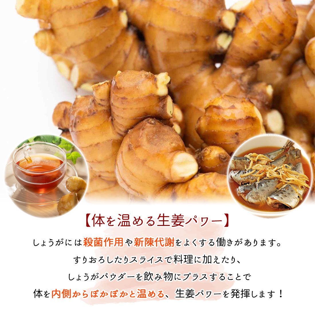 高知県産囲生姜10Kg （全国一の生産量「囲いしょうが」1kg【加工