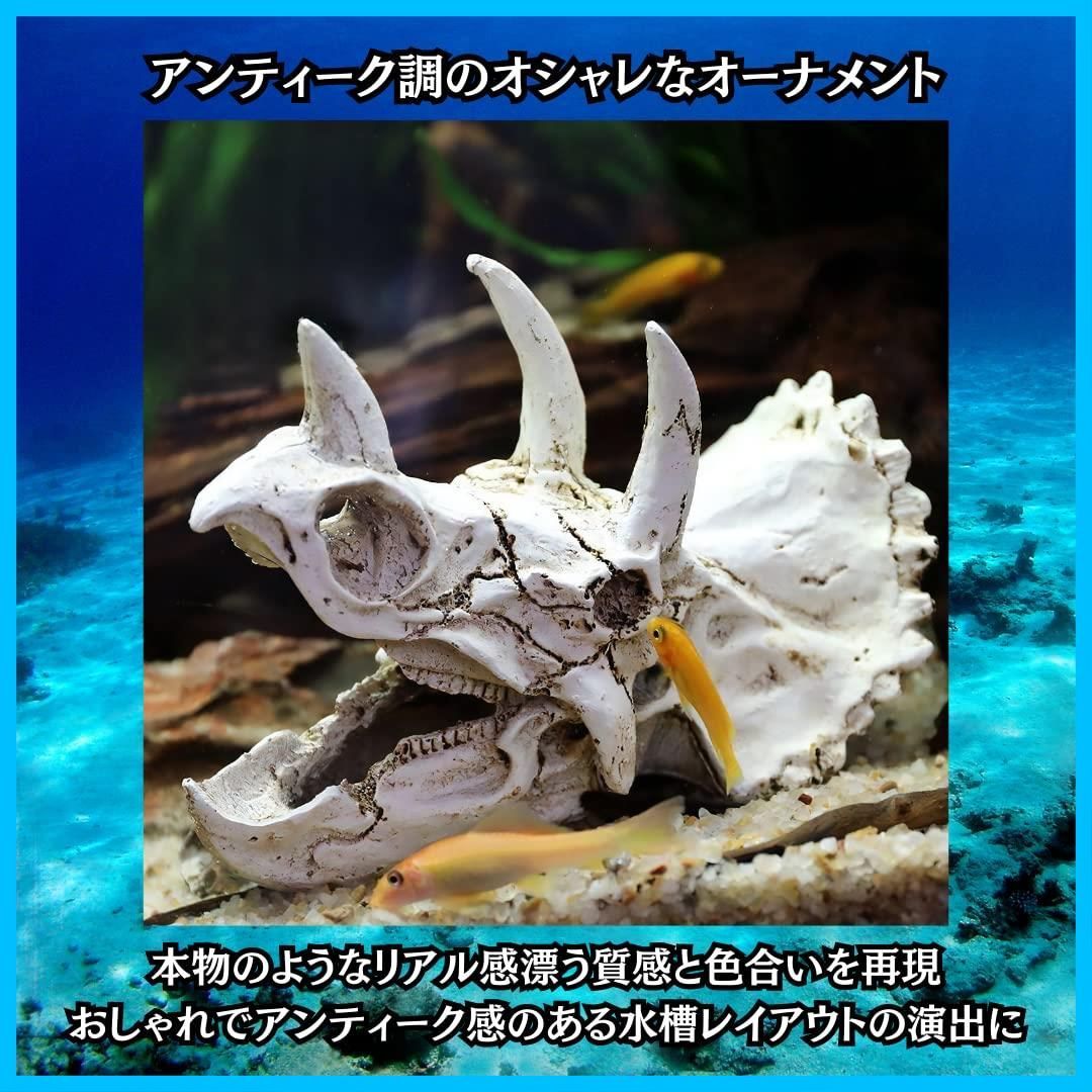 化石