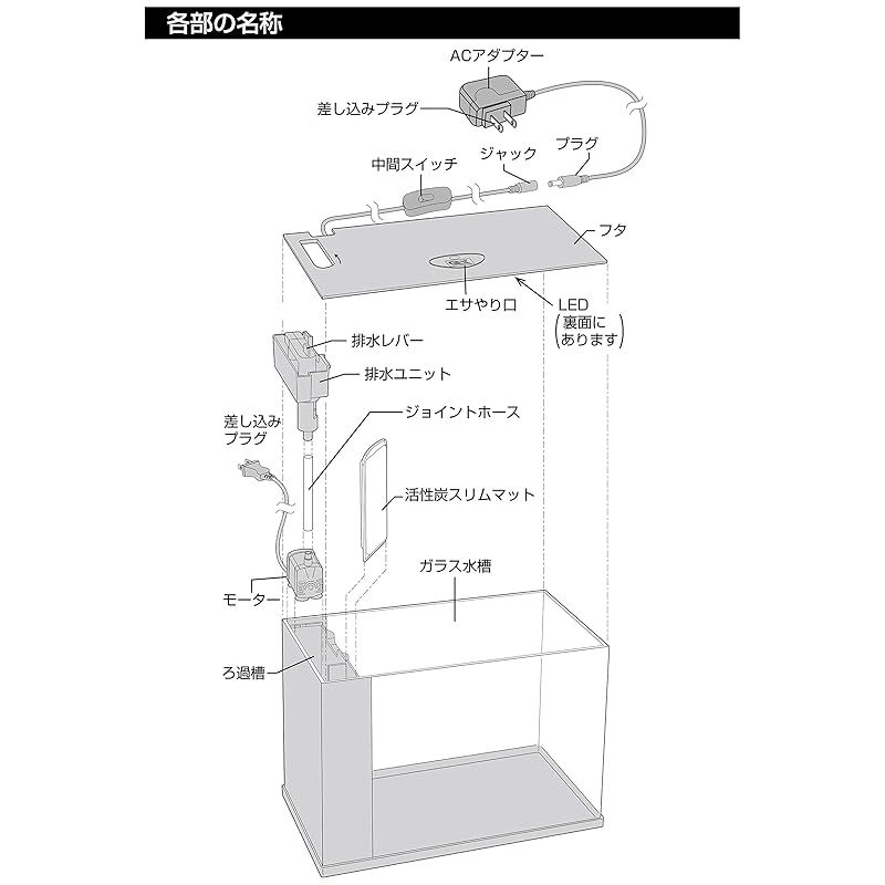 AQUARIUM ラクテリア