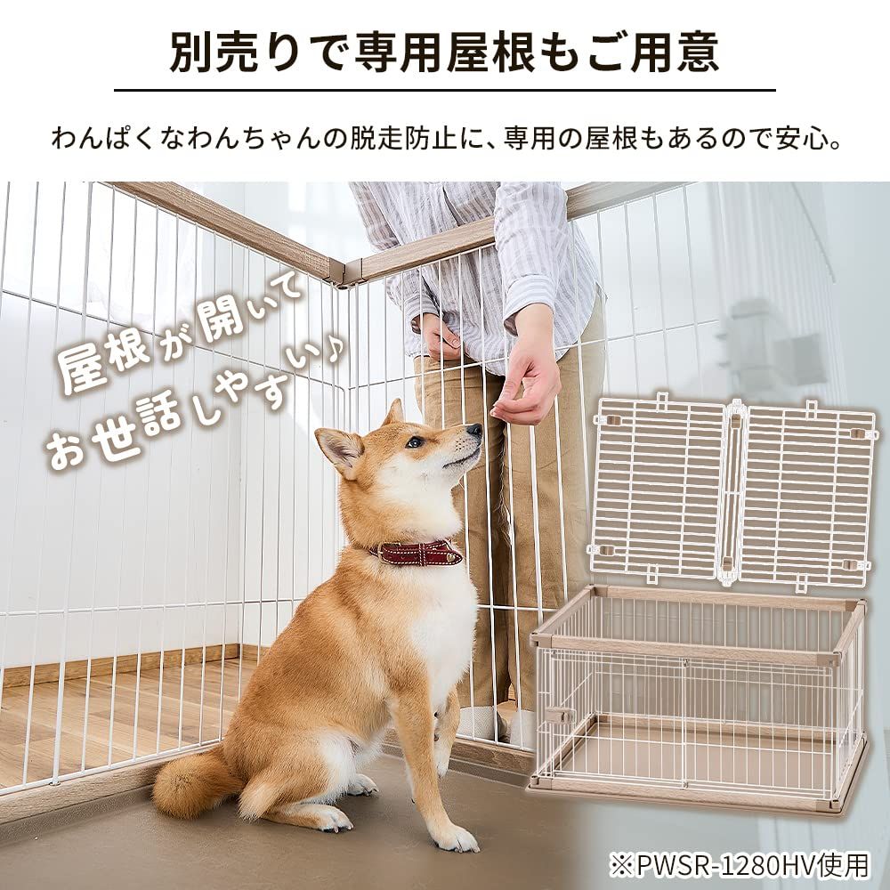 犬