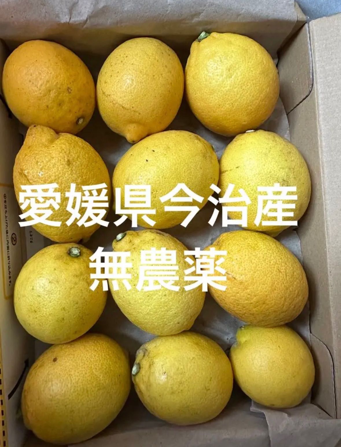 無農薬レモン 4kg 愛媛県産
